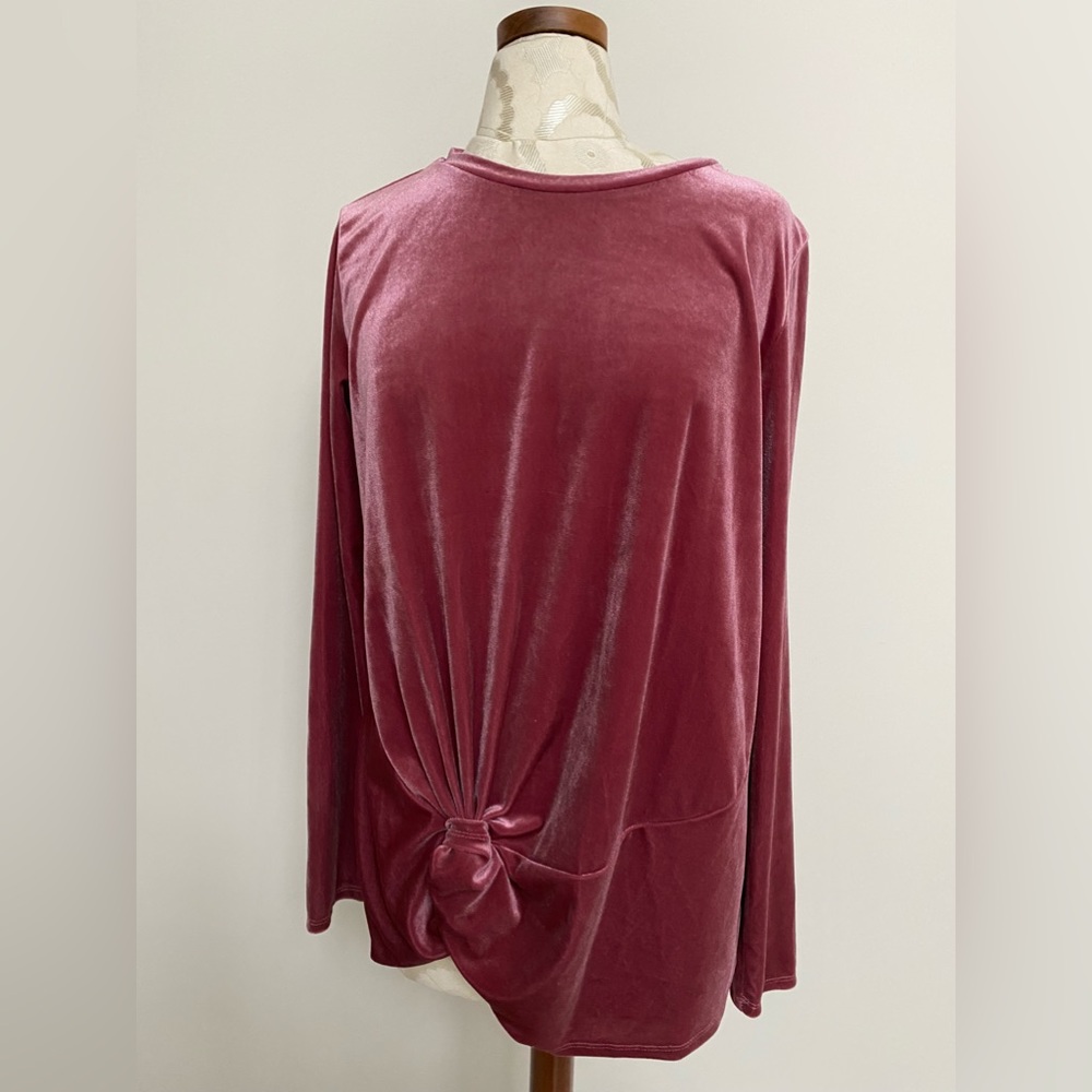 Medium  Halogen ( Nordstrom’s brand) Long Velvet-look Top